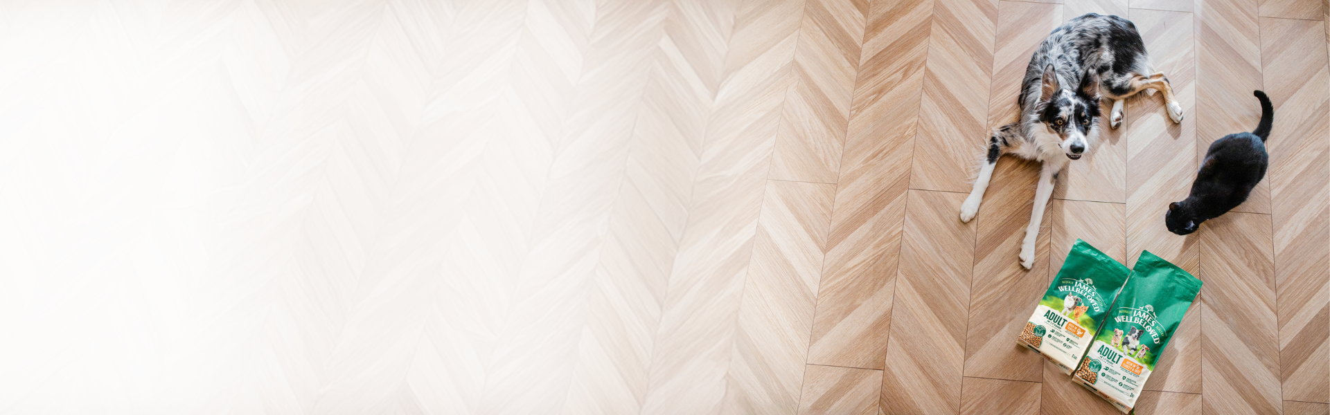 Prawidłowe żywienie to szczęśliwy i zdrowy pupil