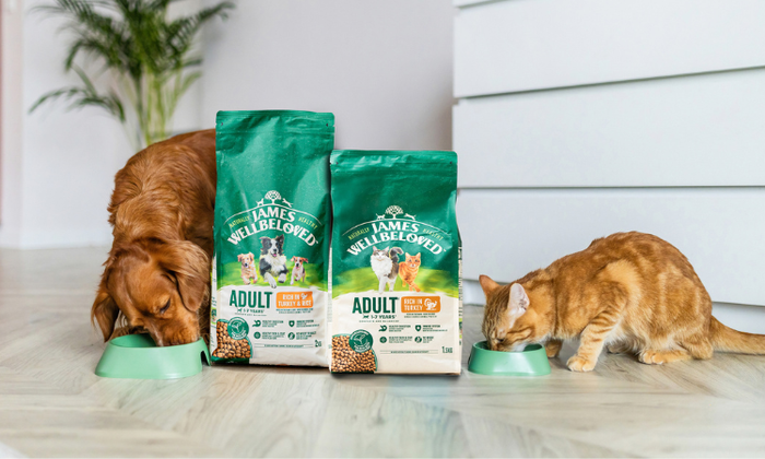 Cat & Kitten Feeding Guides